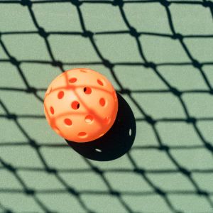 Pickleball with net shadow